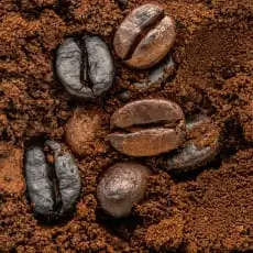Café