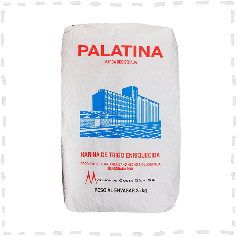HARINA PALATINA CORRIENTE 25 KG DEB