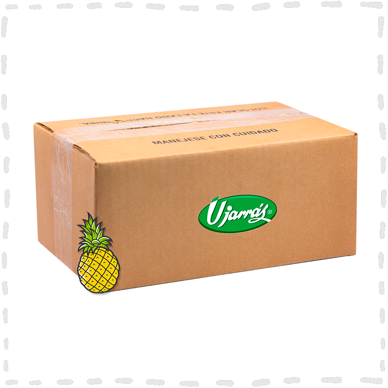 MERMELADA PIÑA HORNEO 5 KG UJARRAS CAJA